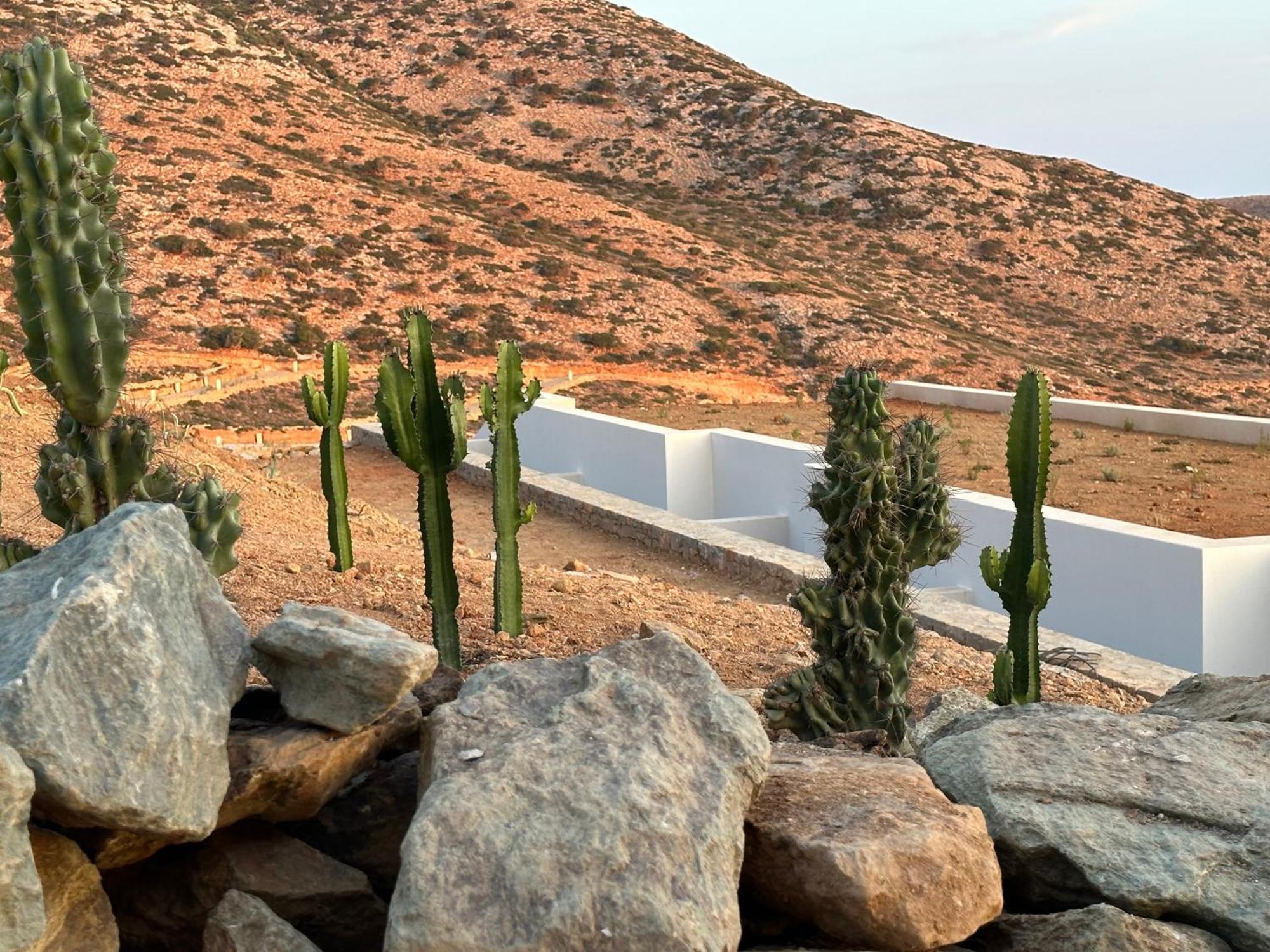 Maison Meltem Agia Pelagia Dış mekan fotoğraf