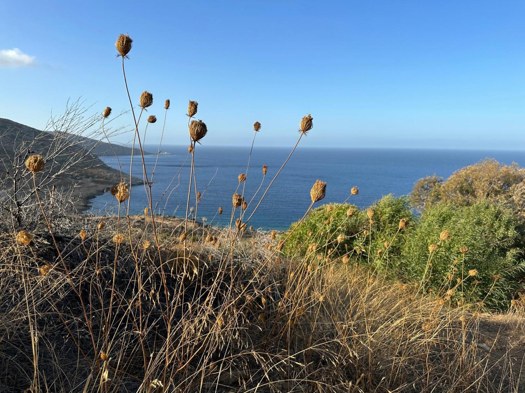 Maison Meltem Agia Pelagia Dış mekan fotoğraf
